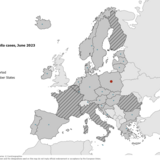 Number of rubella cases by country, June 2023