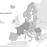 Number of rubella cases by country, August 2023