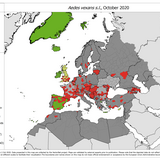 Aedes vexans s.l. - current known distribution: October 2020