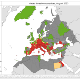 Aedes invasive mosquitoes - current known distribution: August 2023