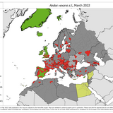 Aedes vexans s.l. - current known distribution: March 2022