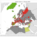 Aedes vexans s.l. - current known distribution: February 2023