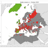 Aedes vexans s.l. - current known distribution: October 2023