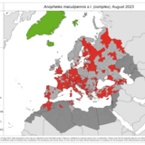 Anopheles maculipennis s.l. - current known distribution: August 2023