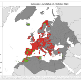 Culicoides punctatus s.l. - current known distribution: October 2023