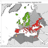 Hyalomma marginatum - current known distribution: September 2020