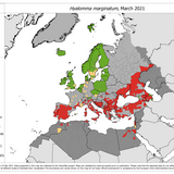 Hyalomma marginatum - current known distribution: March 2021