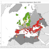 Hyalomma marginatum - current known distribution: March 2023