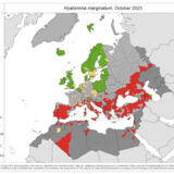 Hyalomma marginatum - current known distribution: October 2023