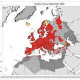 Ixodes ricinus - current known distribution: September 2020