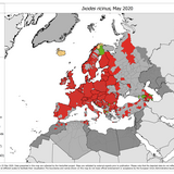 Ixodes ricinus - current known distribution: May 2020