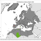 Ornithodorus erraticus - current known distribution: March 2022