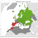 Phlebotomus ariasi - current known distribution: August 2023