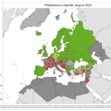 Phlebotomus mascittii - current known distribution: August 2023