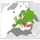 Phlebotomus neglectus - current known distribution: August 2023