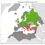 Phlebotomus perfiliewi - current known distribution: August 2023