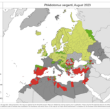 Phlebotomus sergenti - current known distribution: August 2023