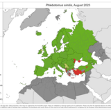 Phlebotomus similis - current known distribution: August 2023