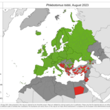 Phlebotomus tobbi - current known distribution: August 2023