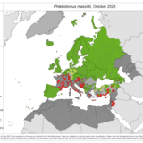 Phlebotomus mascittii - current known distribution: October 2023