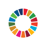 SDG logo wheel