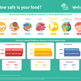 Food safety infographic