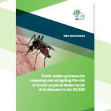 Cover of the report "Public health guidance for assessing and mitigating the risk of locally-acquired Aedes-borne viral diseases in the EU/EEA"