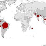 Geographical distribution of dengue cases reported worldwide, 2021