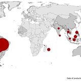 Geographical distribution of dengue cases reported worldwide, 2020