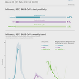 Weekly respiratory virus update, week 6, January 2025