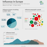 Influenza infographic, week 16 2023