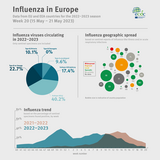 Weekly influenza update, week 20, May 2023