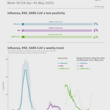 Weekly respiratory virus update, week 18, May 2025