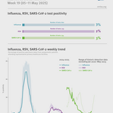 Weekly respiratory virus update, week 19, May 2025