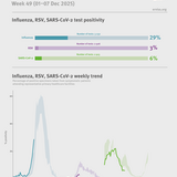 Weekly respiratory virus update, week 49, November 2025