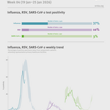 Weekly respiratory virus update, week 4, January 2026