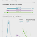 Weekly respiratory virus update, week 7, February 2025