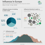 Weekly influenza update, week 15, April 2020 