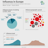 Weekly influenza update, week 1, January 2023