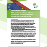 kosovo report surveillance cover