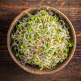 Sprouts