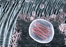 Influenza_H Thumbnail