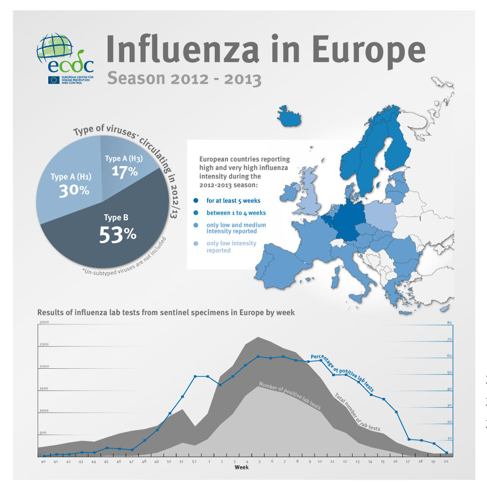 Summary of the influenza 20122013 season in the WHO European region