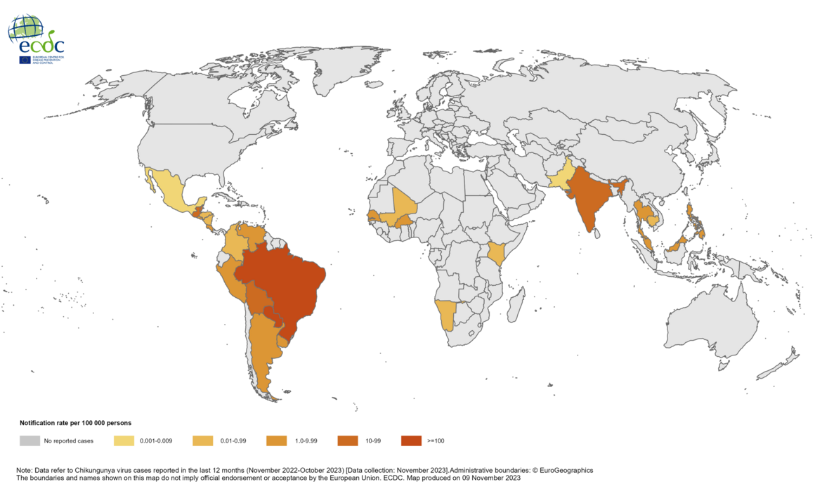 12-month Chikungunya virus disease case notification rate per 100 000 population, November 2022-October 2023