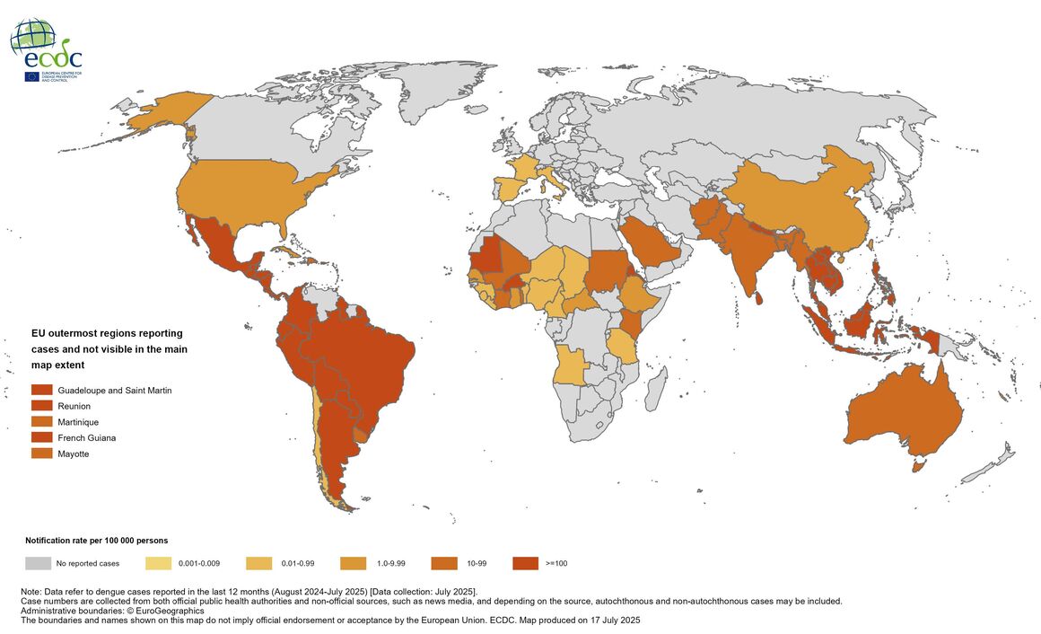 Twelve-month dengue virus disease case notification rate per 100 000 population, August 2024-July 2025