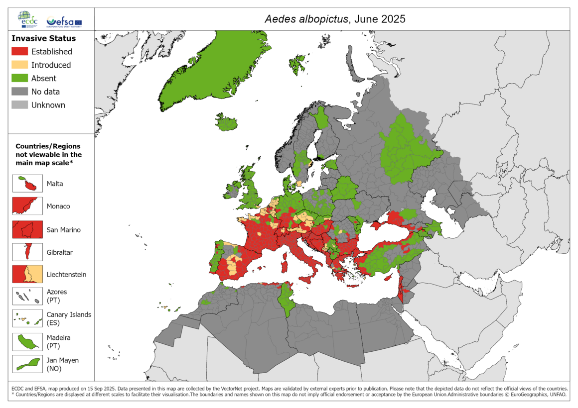 Aedes albopictus map June 2025