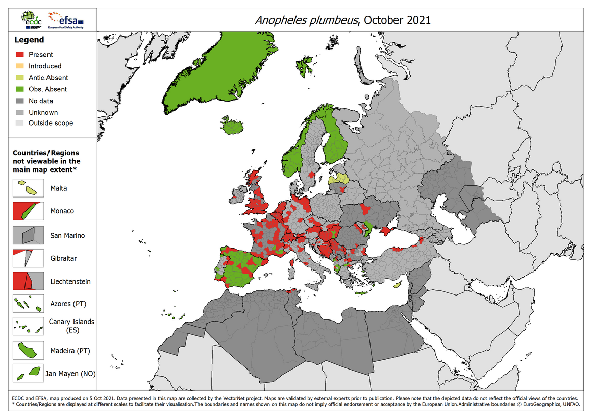 Anopheles plumbeus - current known distribution: October 2021