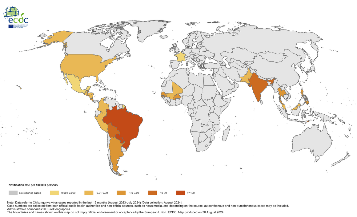  12-month Chikungunya virus disease case notification rate per 100 000 population, August 2023-July 2024