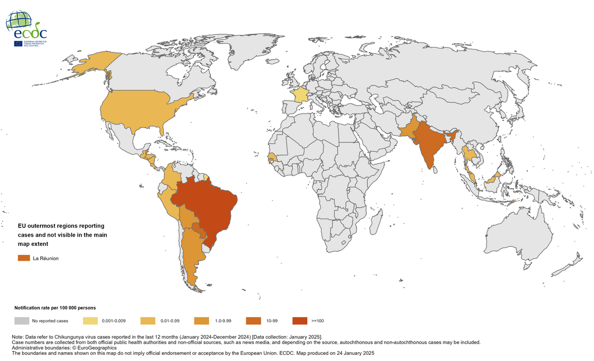 12-month Chikungunya virus disease case notification rate per 100 000 population, January 2024-December 2024