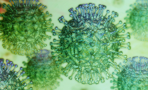 Picture of a coronavirus